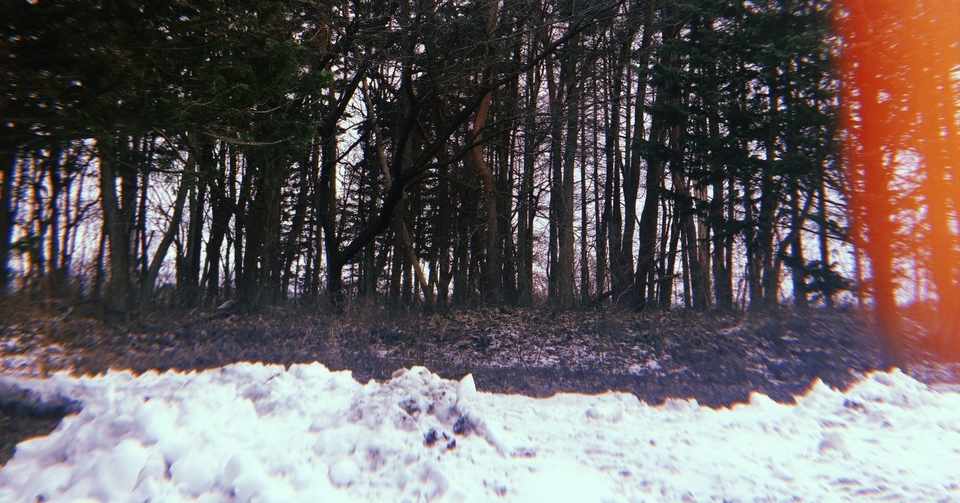 孫娘から 祖父への弔辞 土橋 詩歩 Note