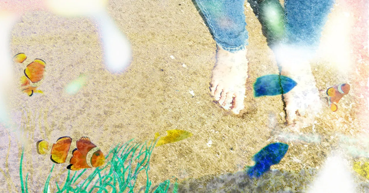 Short Story 'Translucent Tropical Fish' III. Haruka (3)｜みなとせ はる