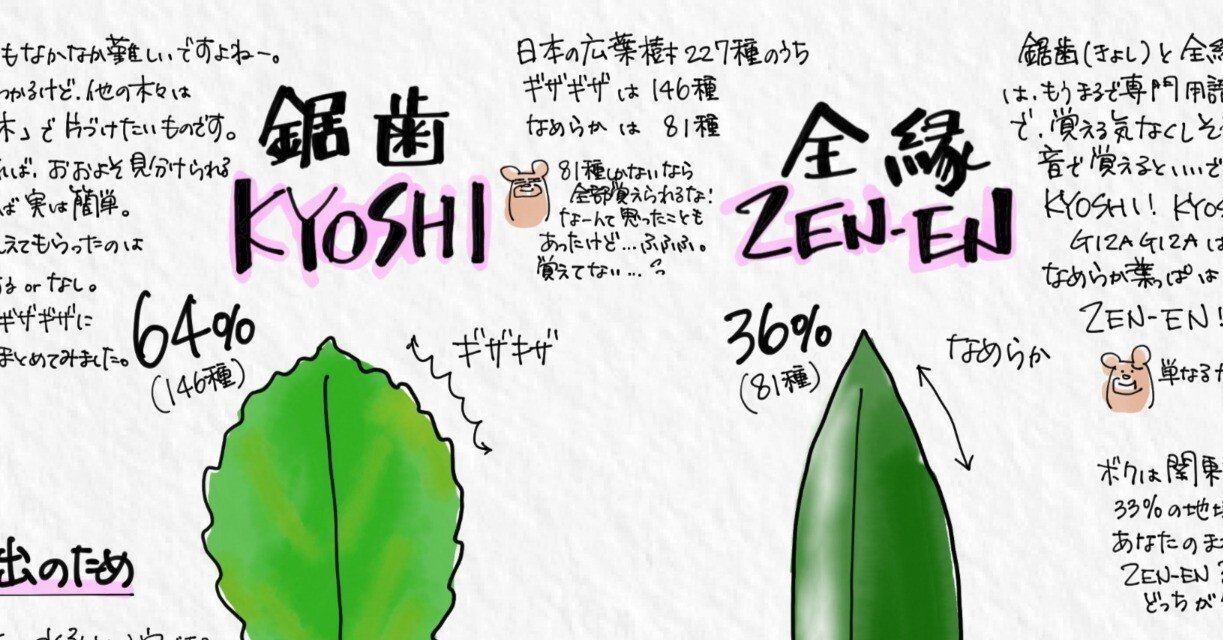 近所に生えてた葉っぱです 998f5df84eeae1f5314d099f0dcd0b