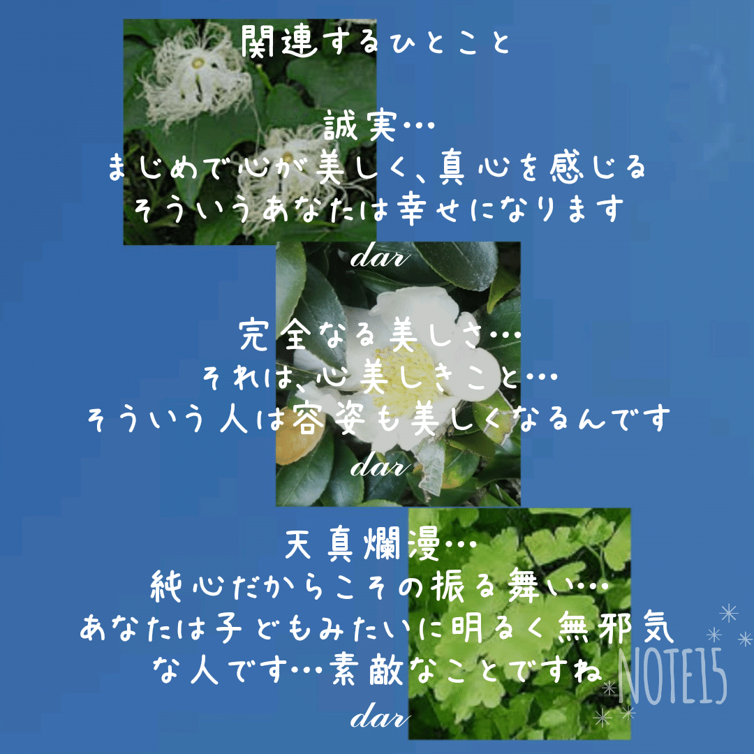 今日の花たち 11 11 金 花言葉と 関連するひとこと カラスウリ よき便り 誠実 男ぎらい 白いツバキ 完全なる美しさ 申し分のない魅力 至上の愛らしさ アジアンタム 天真爛漫 繊細 無 だー Note