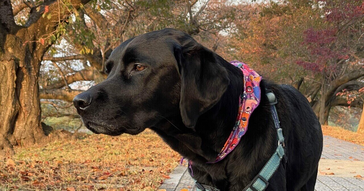 簿記3級の仕訳を色でわける はーごん Note 簿記3級の仕訳を色でわける はーごん Note