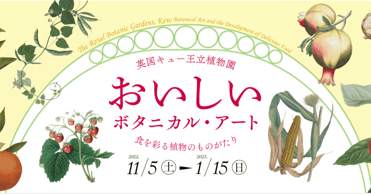 bbdb7d51721df5c37188a72bc61e43