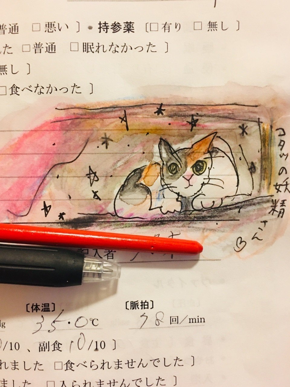 コタツの妖精 カモセイロ Note コタツの妖精 カモセイロ Note