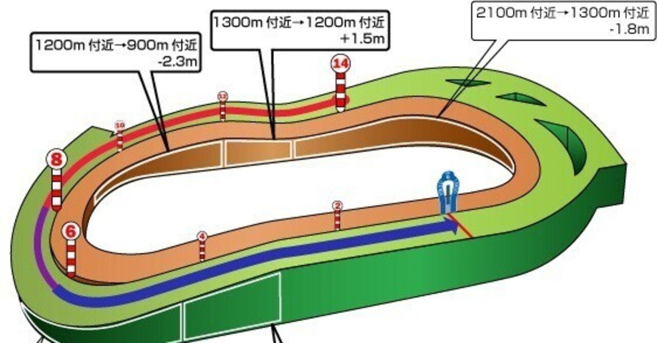 11/13(日) 東京競馬場 馬場状態＆全レース分析(展開注目データ