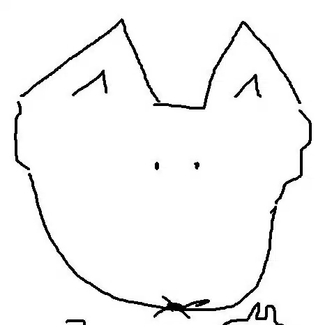 コ～ン太