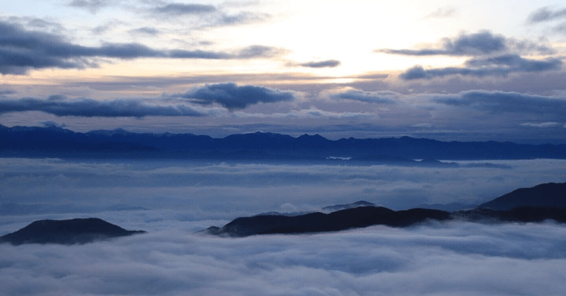 お茶と京都と雲海