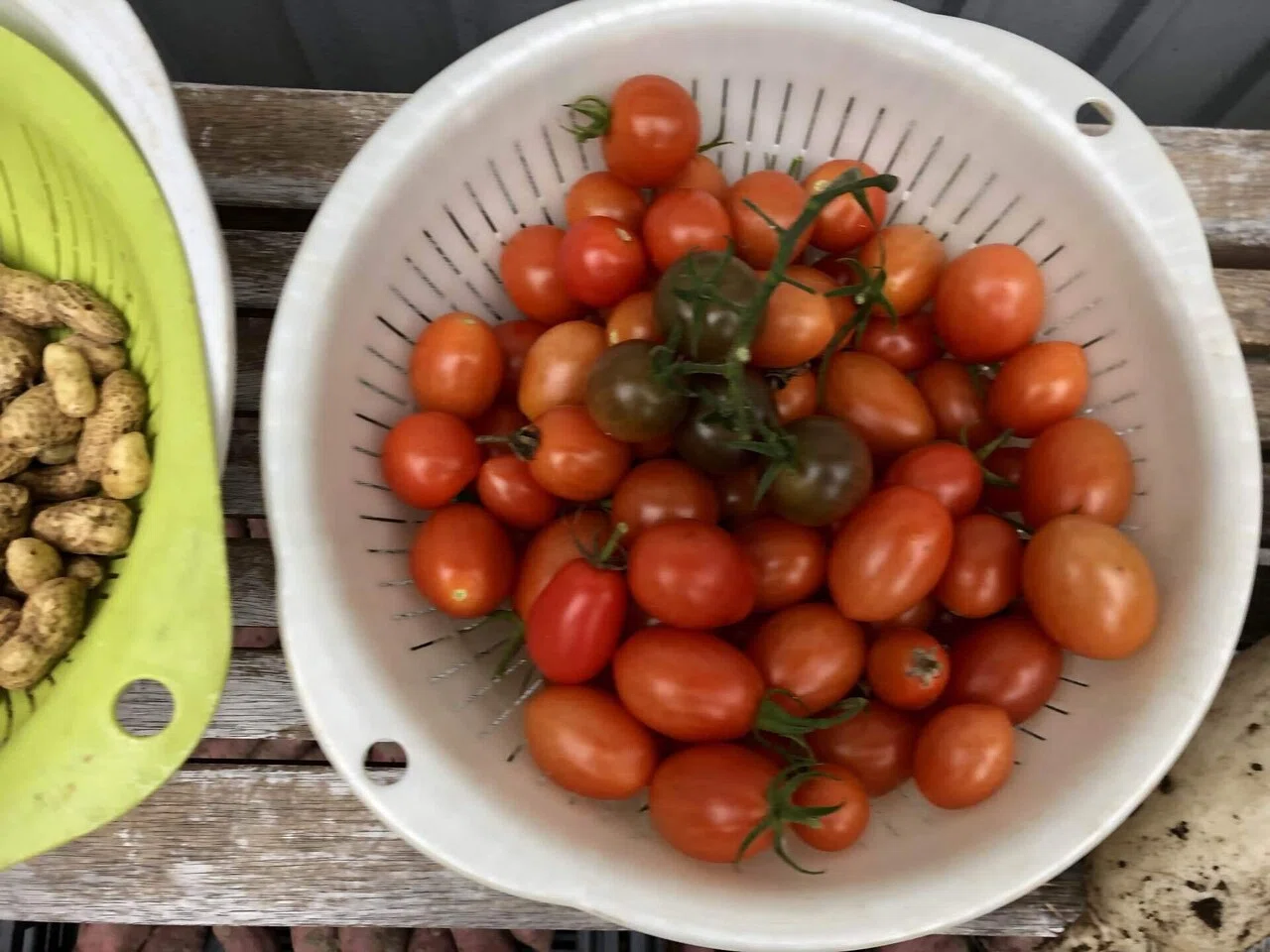 恵みの雨が降る前に｜MUNA_FARM 無農薬自給自足