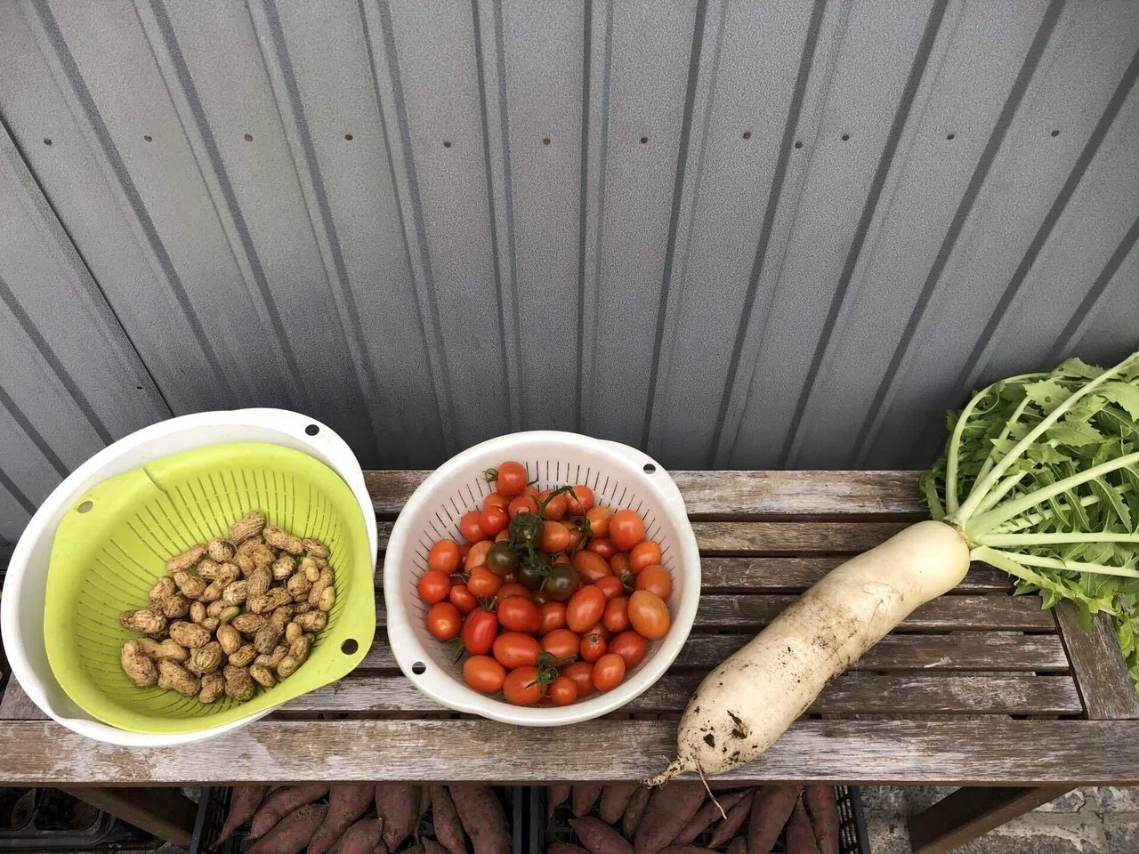 恵みの雨が降る前に｜MUNA_FARM 無農薬自給自足