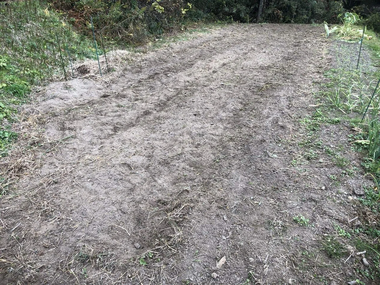 恵みの雨が降る前に｜MUNA_FARM 無農薬自給自足