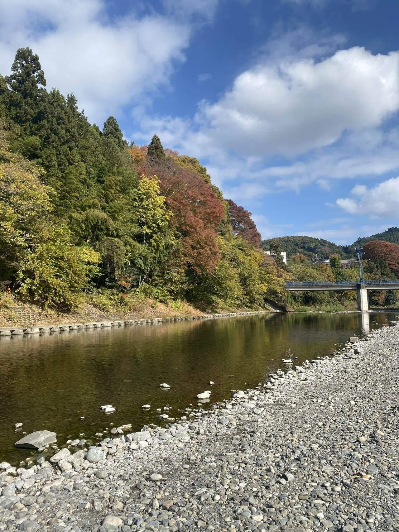 戦いから降りること｜曼荼羅アーティスト 渡邊香花