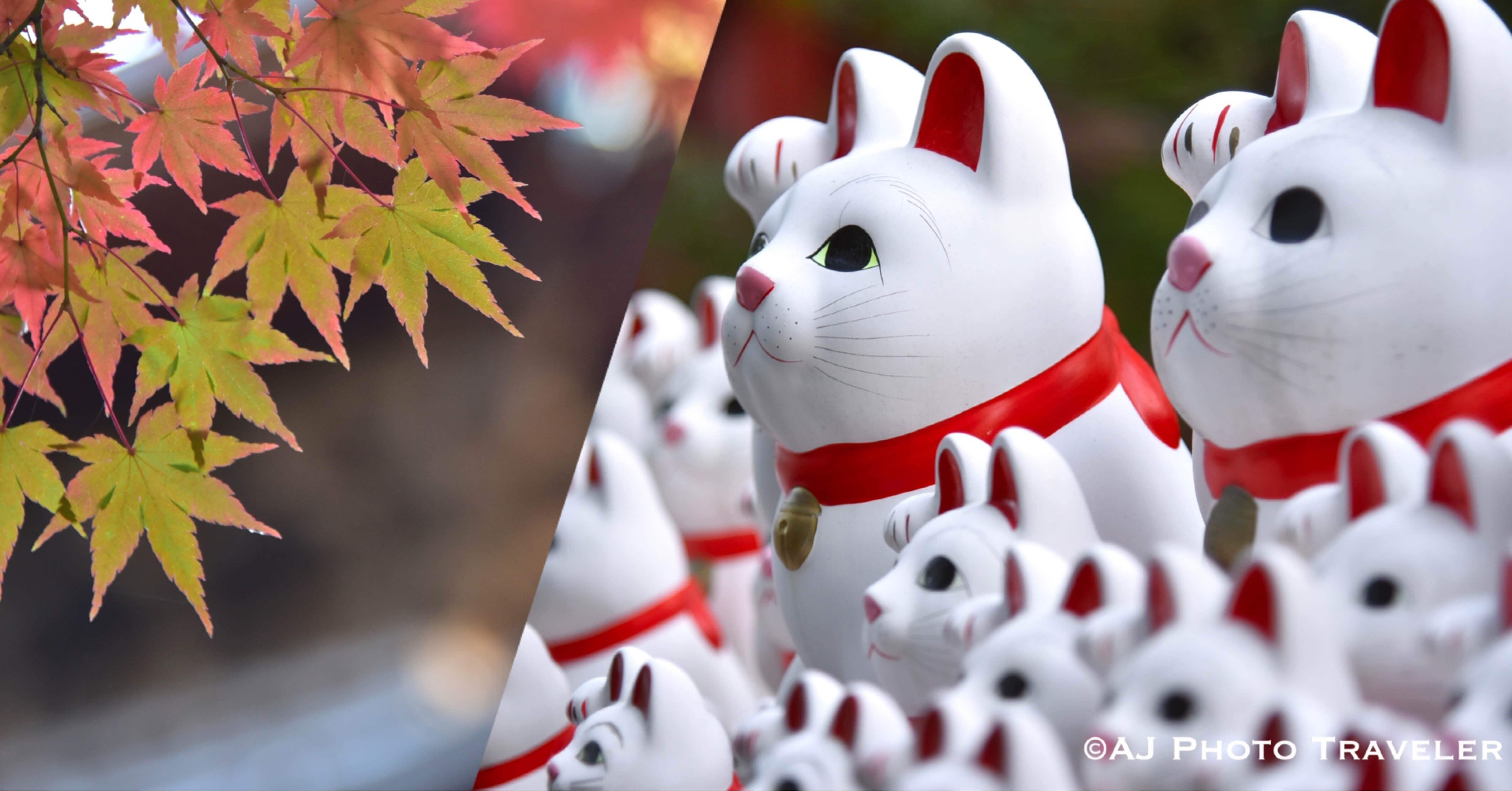 a2e25403167ea3f584bc5f9aa43a84