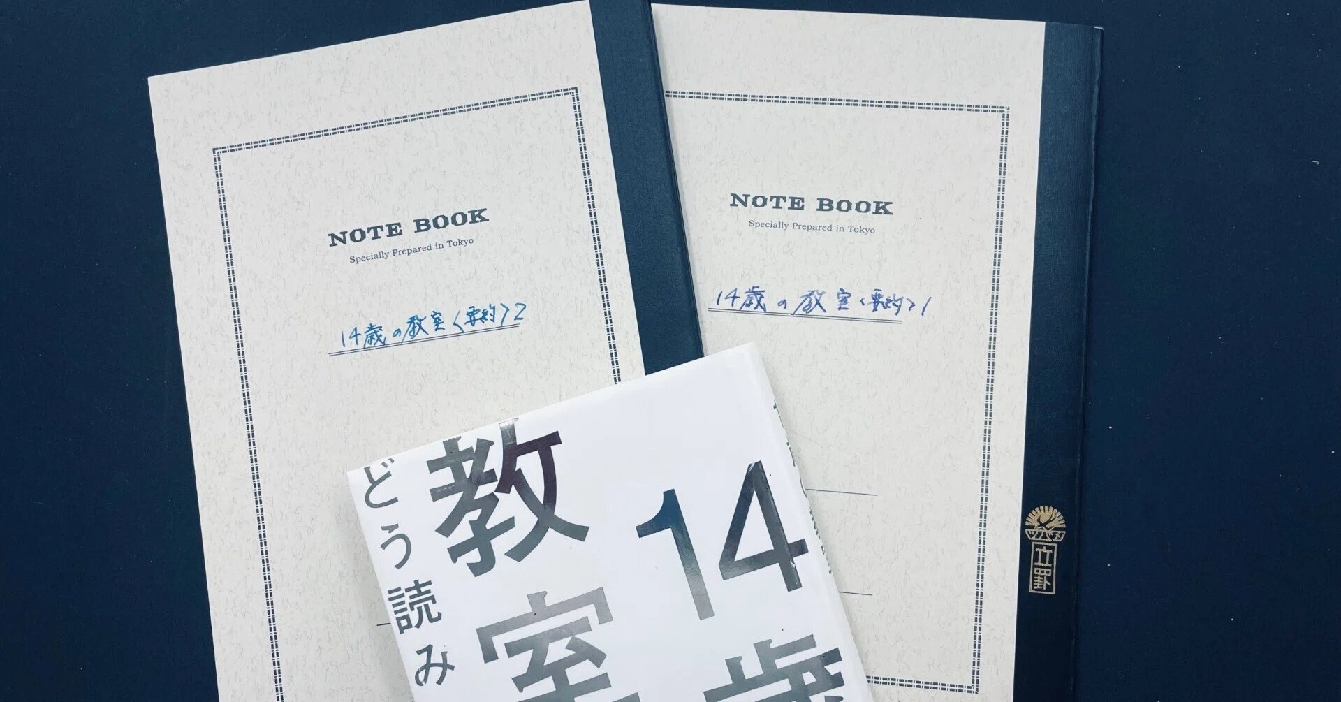 説明ゆっくり読んでいってね！ ゆっくりと読み、考え、書いていく「読み方」もある｜既視の海