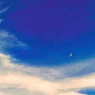 波瑠