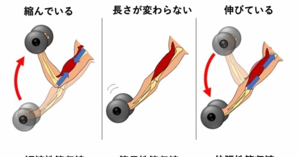 アイソトニック トレーニング