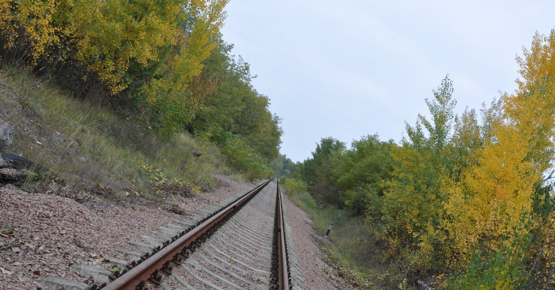 rectangle_large_type_2_d15592a