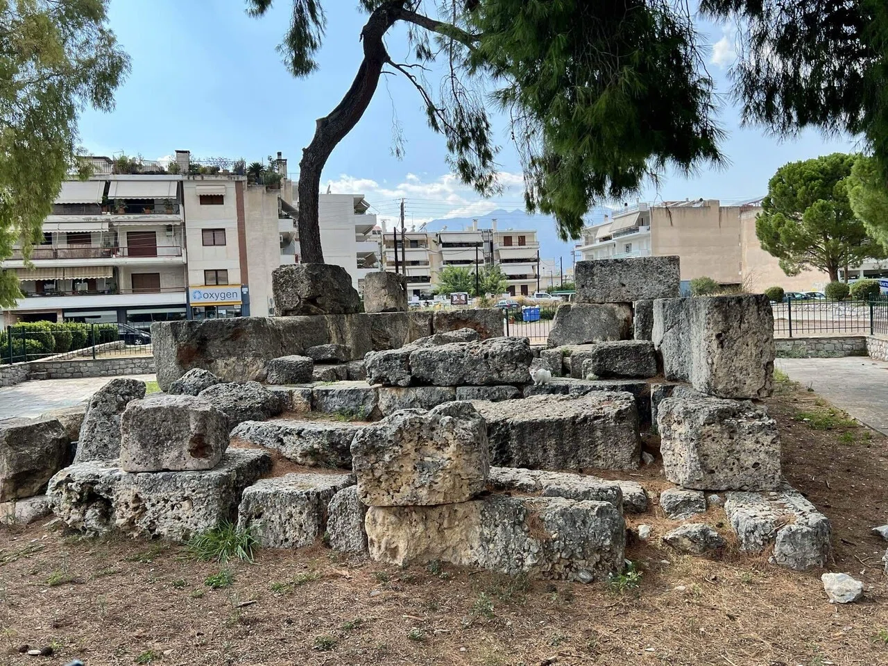 スパルタと残骸【無職放浪記・ギリシャ編(5)】｜里犬@海外放浪中