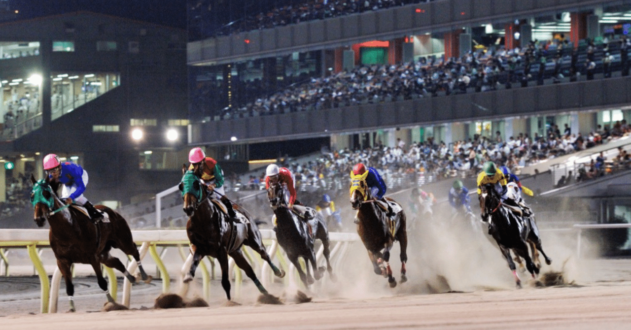 🔥11/14(月)大井競馬9⃣R🔟Rの予想🔥｜三毛猫アイルランド競馬予想家