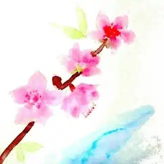所感