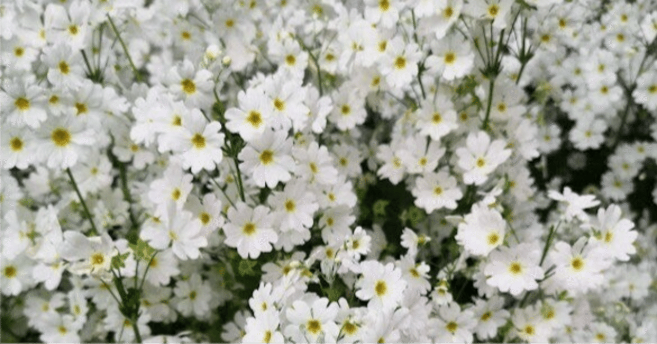 いのちのことば社ことはちゃん (@kotobasha) / Posts / X, image size:1280x670