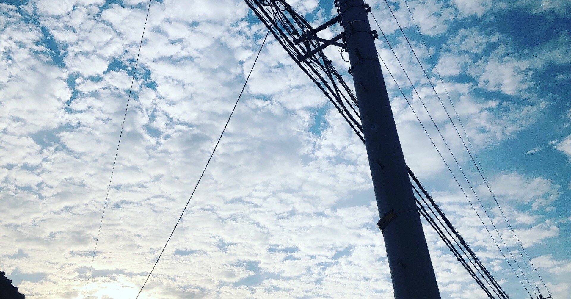 馬鹿は死んでも直らない─正論の無益さとは｜相川秋葉