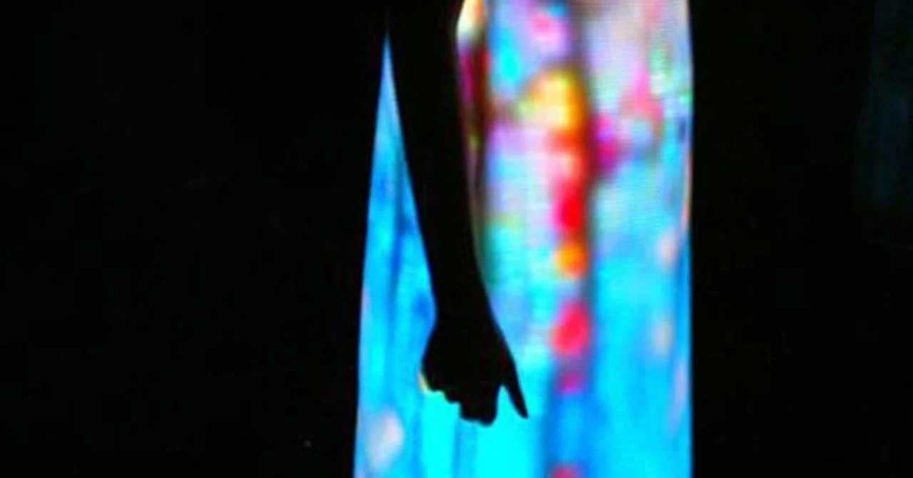 アートのミカタ13】フセイン チャラヤン HusseinChalayan｜らち