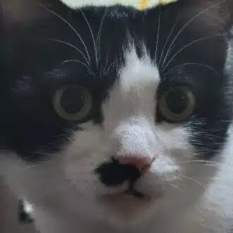 はぐぱぱ