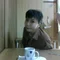 tamagoto33