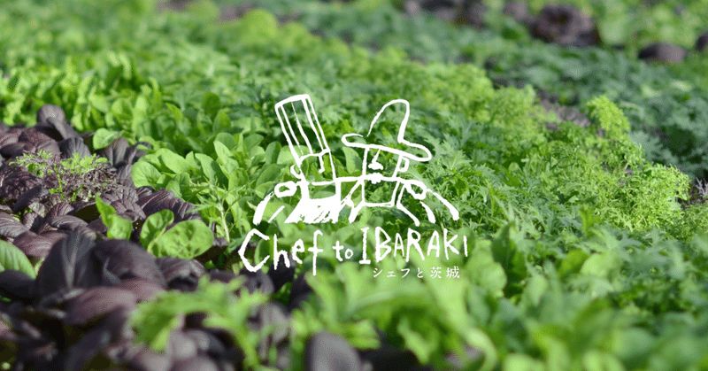 ハーブやベビーリーフ、有機栽培などおすすめしたい茨城県の個性的な７軒の農家