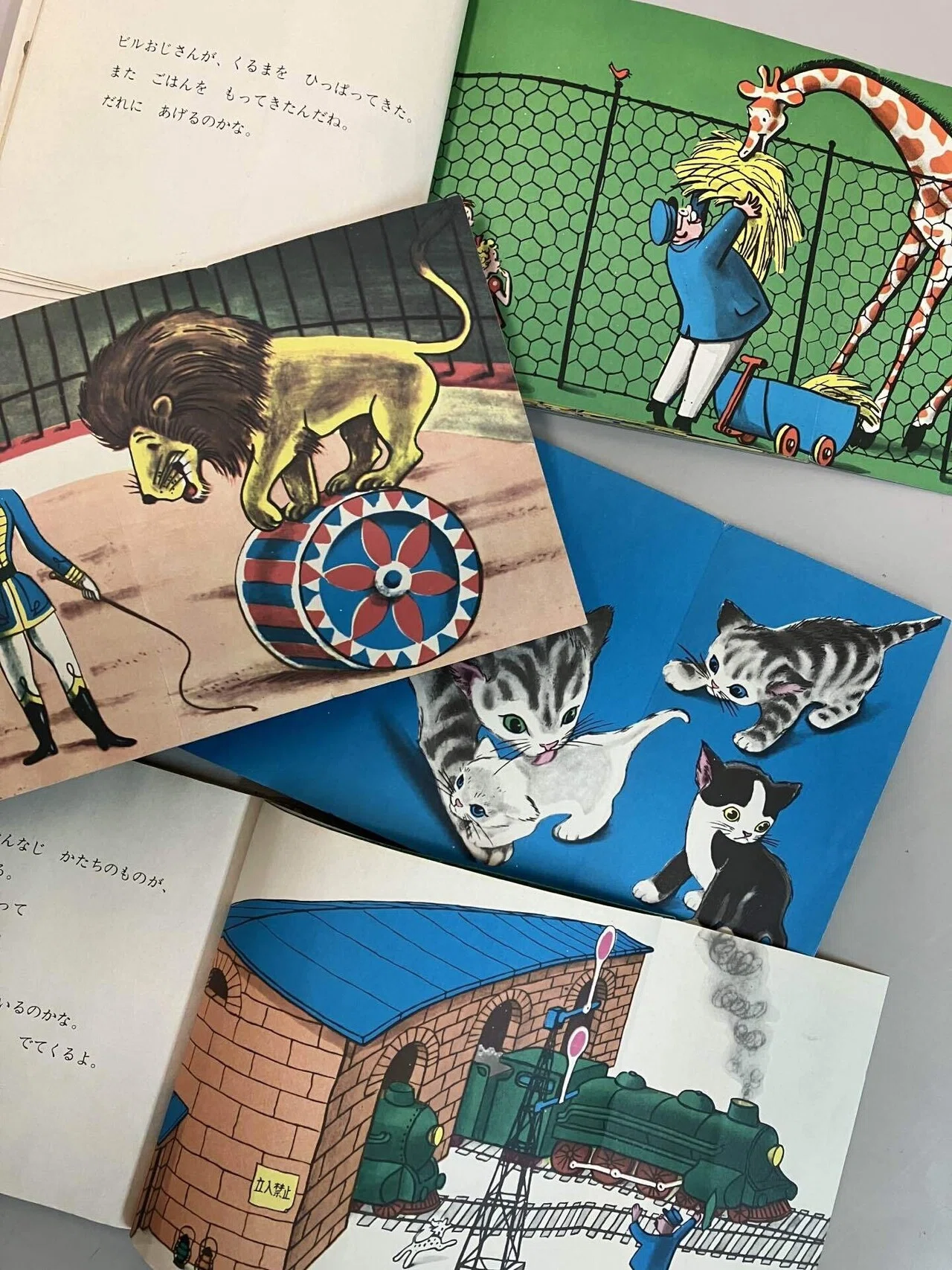 子どものころに読んだ絵本と再会する｜まこと保育園