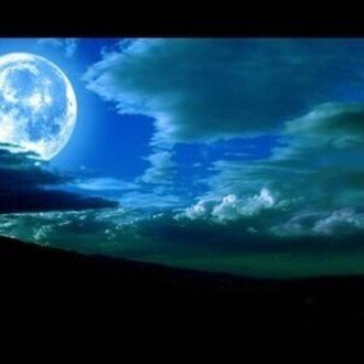 キャットテール