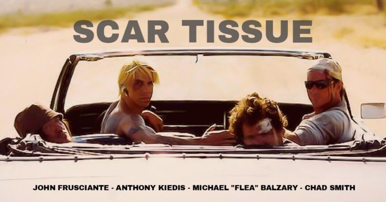 和訳 / 歌詞] Red Hot Chili Peppers - Scar Tissue｜Rysk