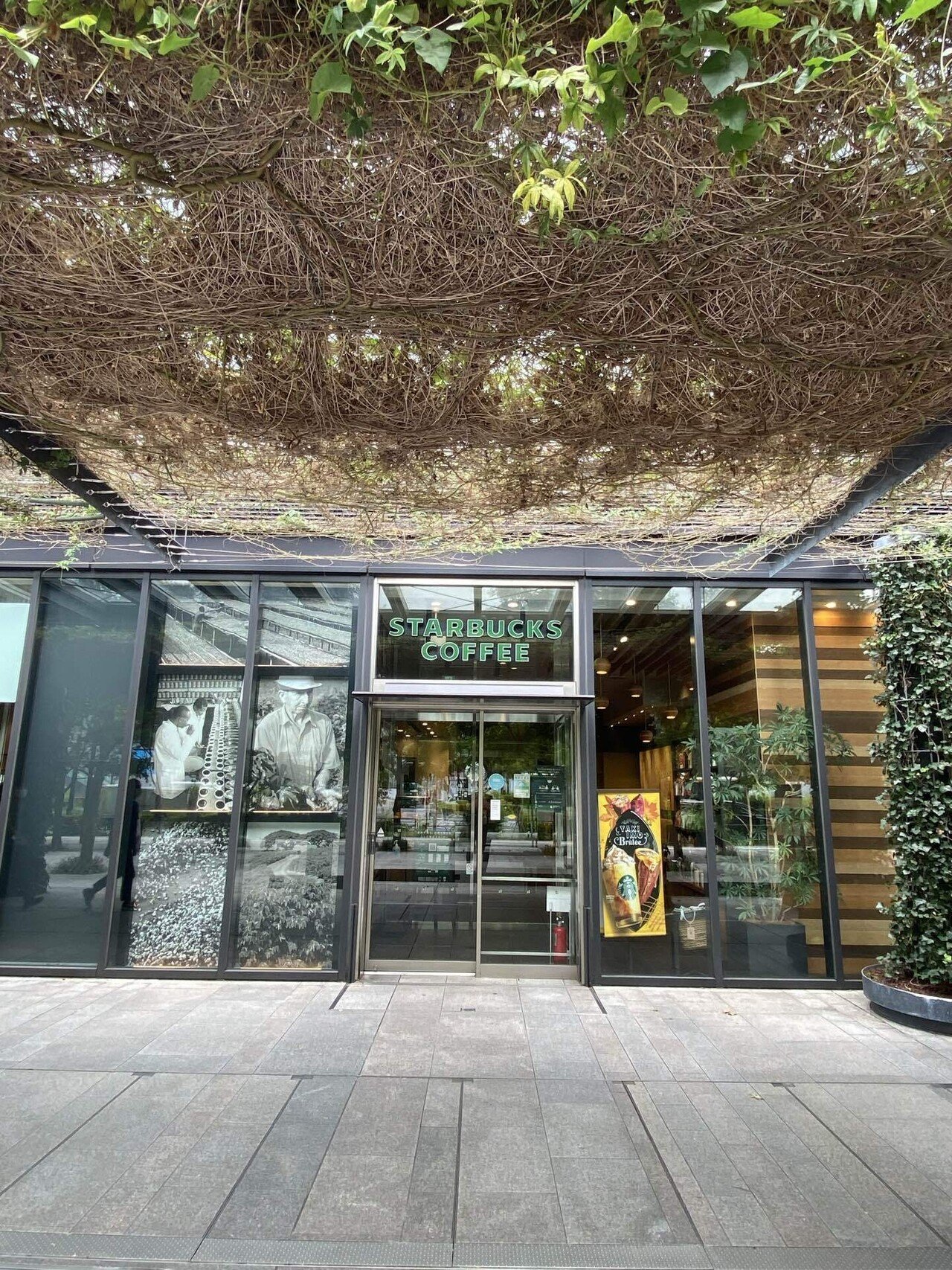 東京建築巡り～森の中のようなスタバ✨｜東京の建築&アート巡りオタク  