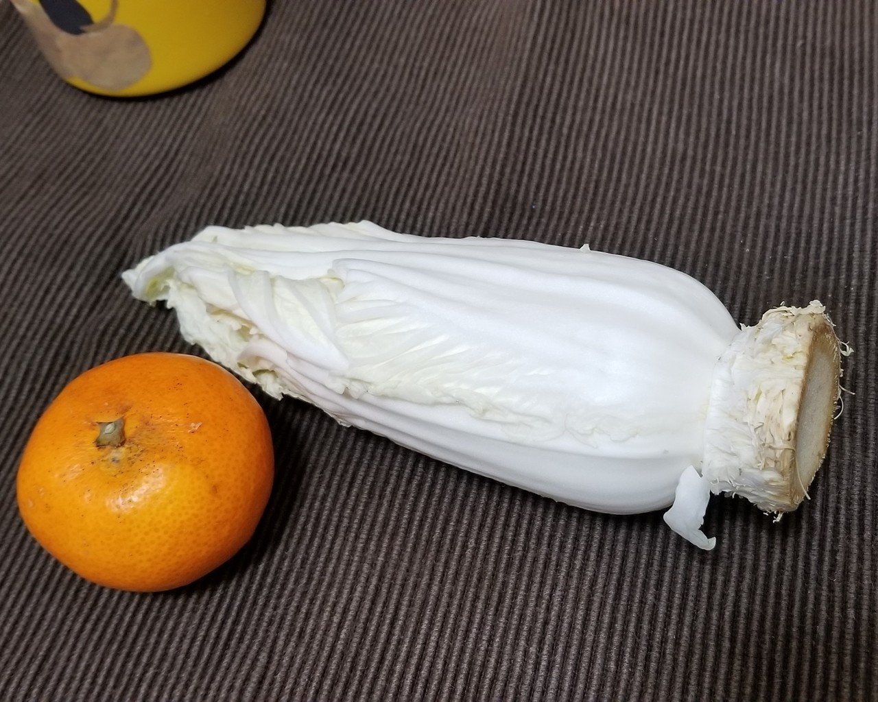 今日の机 白菜と蜜柑と金魚 中嶌まり Note