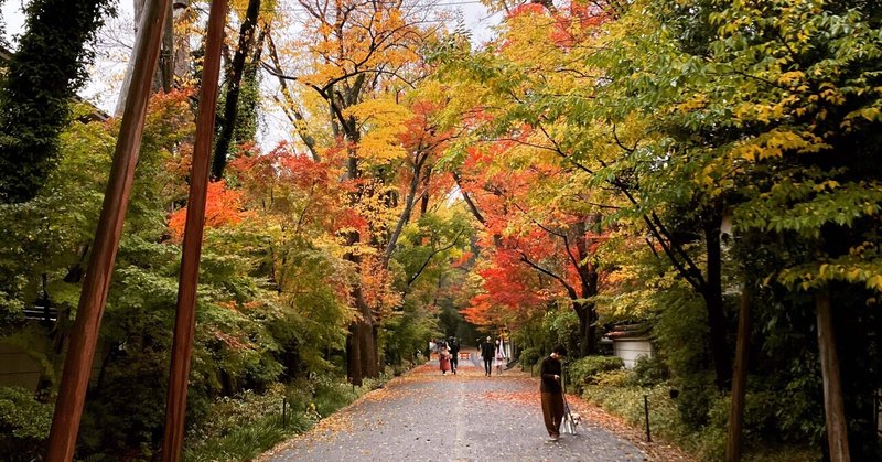 さあ、京都に住もう！〜同志社の紹介〜