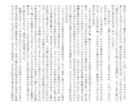 カギ タナカ自宅全焼合同誌 火事タナカ 内容ご紹介 10区 Note