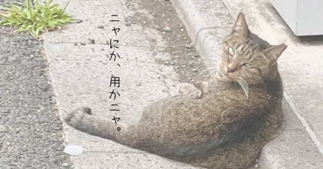 見出し画像