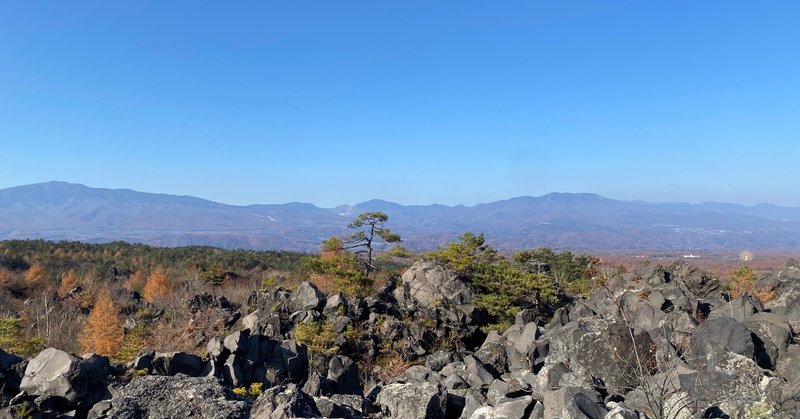 撤退戦略