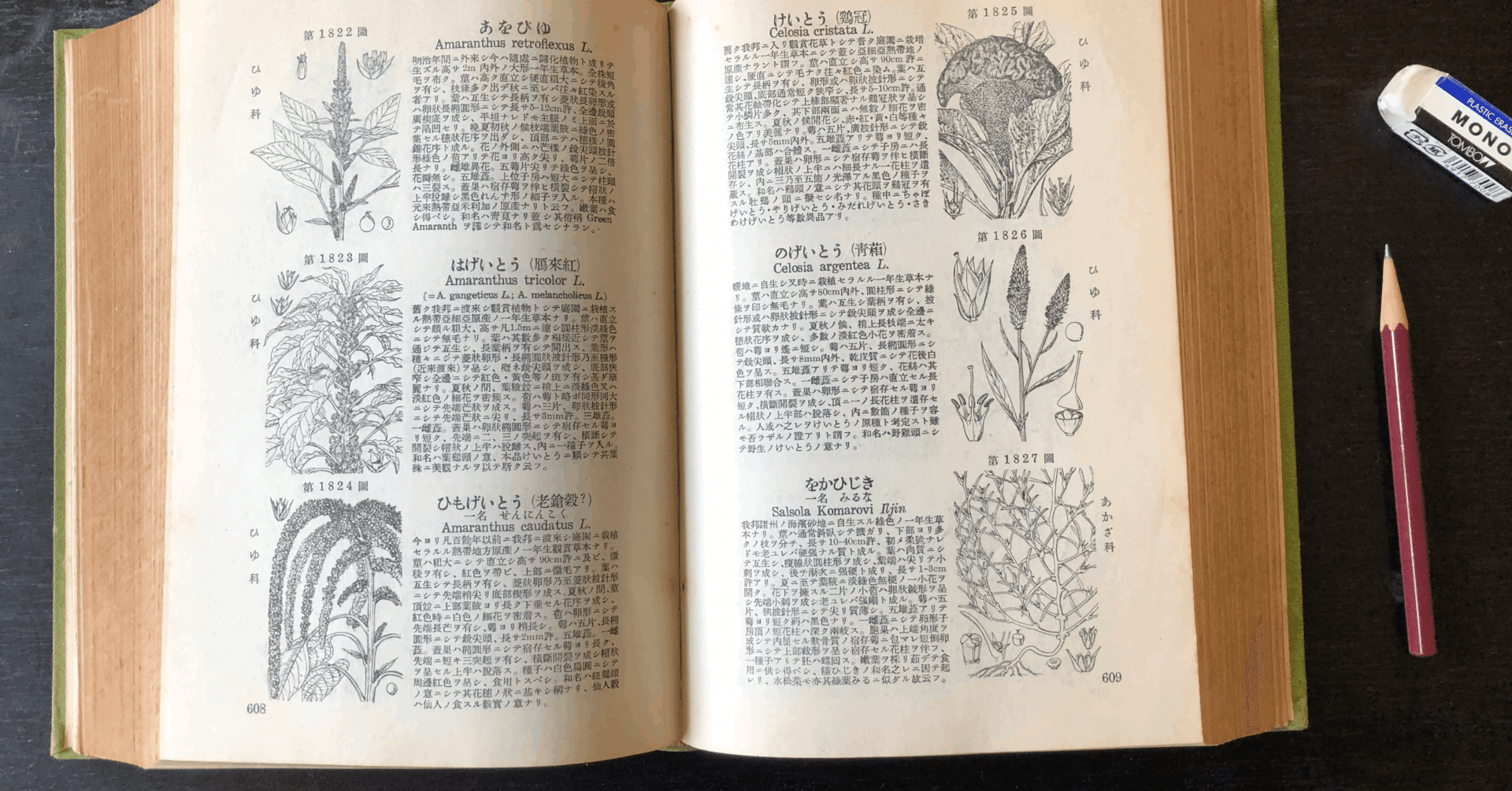 牧野日本植物図鑑 (復刻版 初版) - 参考書