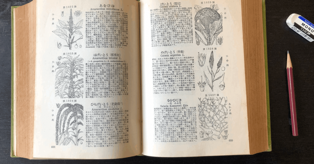 私的デジタル教材開発史（4） 牧野日本植物図鑑［PDF版