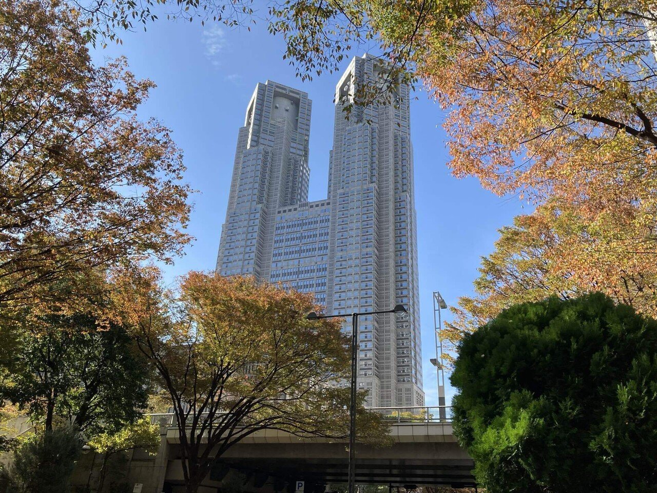 アメリカ引越し 国際免許取得 桜木 小春 Note アメリカ引越し 国際免許取得 桜木 小春 Note