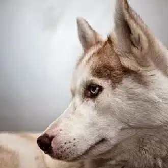 藤生一穂