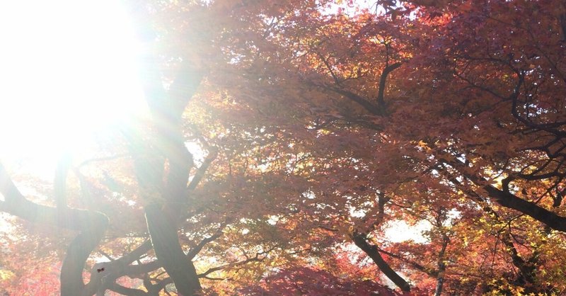 空に浮かぶ太陽「火」について