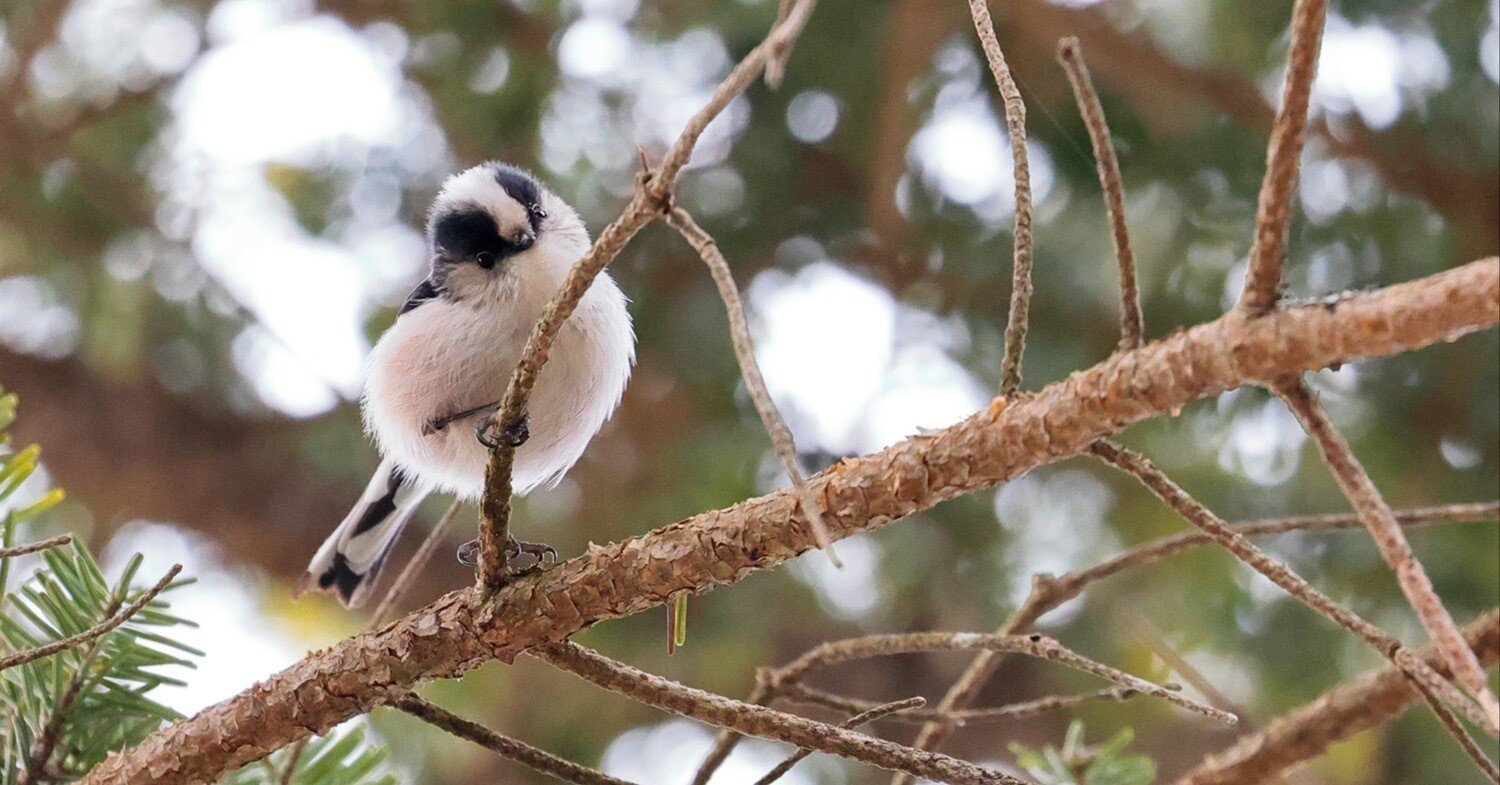 4f4cf836dd9d34c43d7fe38cd36fd4