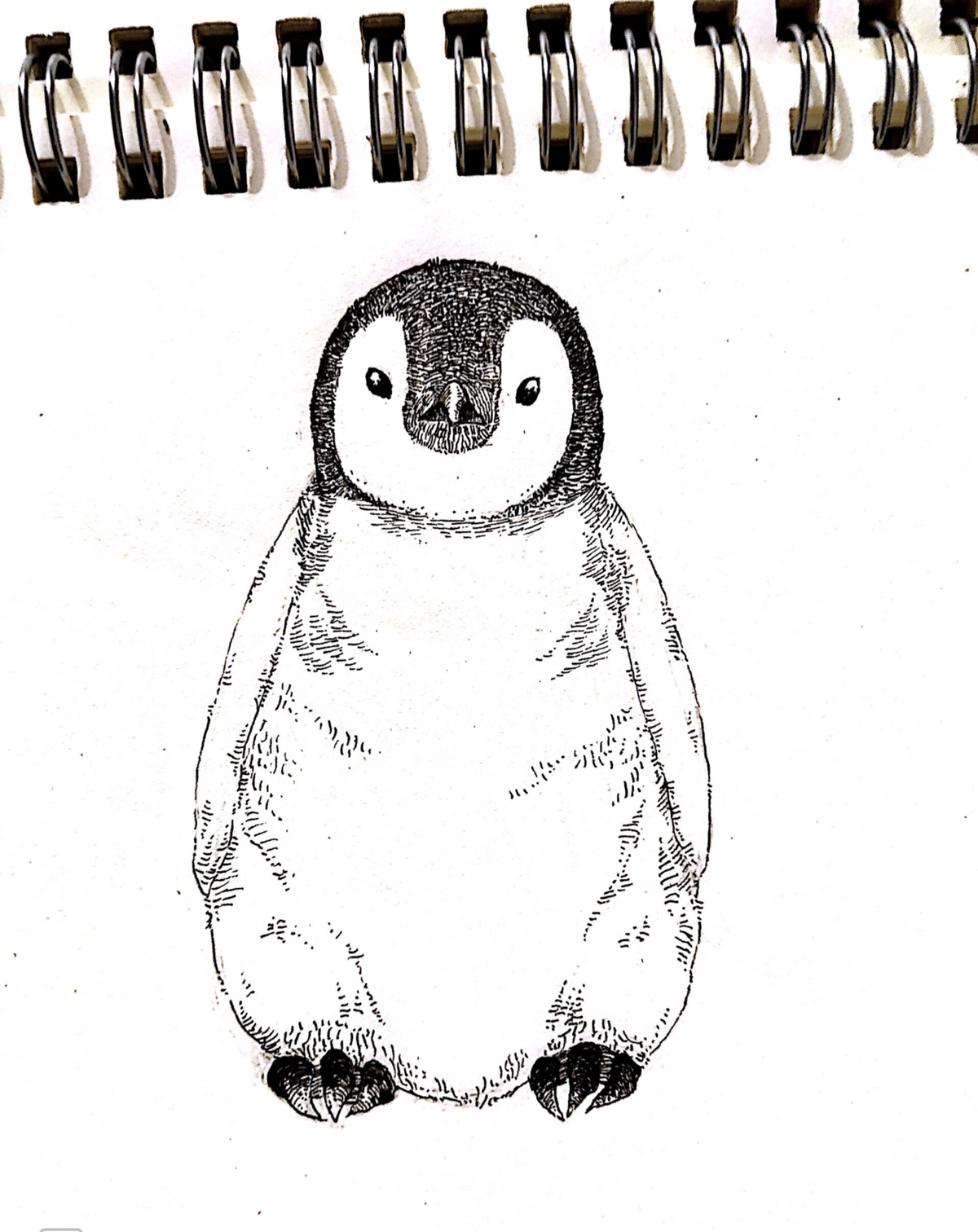 イラスト（ペン画 イラスト（ペン画