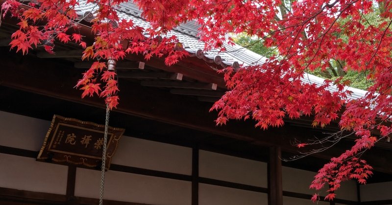 京都巡り#46 金戒光明寺と栄摂院で絶景紅葉狩り
