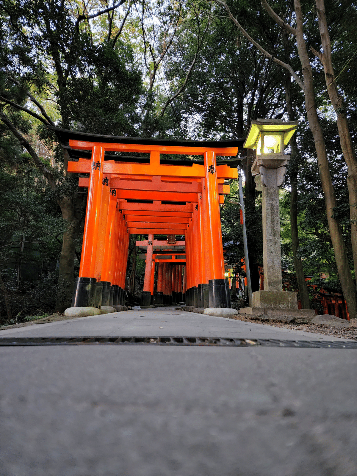 千本鳥居