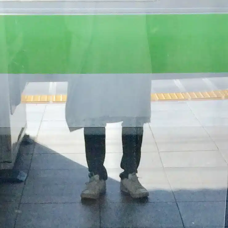 蓮