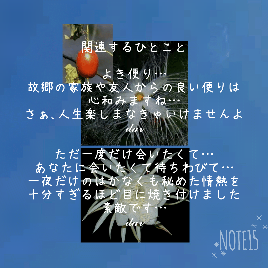 夜咲く花たち の新着タグ記事一覧 Note つくる つながる とどける 夜咲く花たち の新着タグ記事一覧 Note つくる つながる とどける
