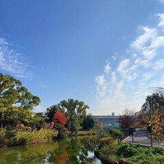 ラジオ19：冬の料理で気になること