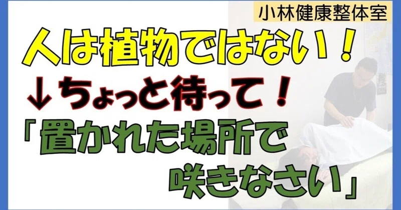置かれた場所で咲きなさい の新着タグ記事一覧 Note つくる つながる とどける
